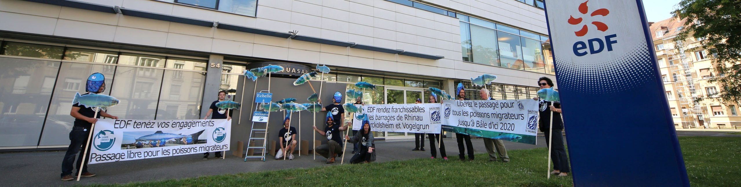 Read more about the article EDF slower than the salmon – Activists are blocking the EDF Headquater Mulhouse