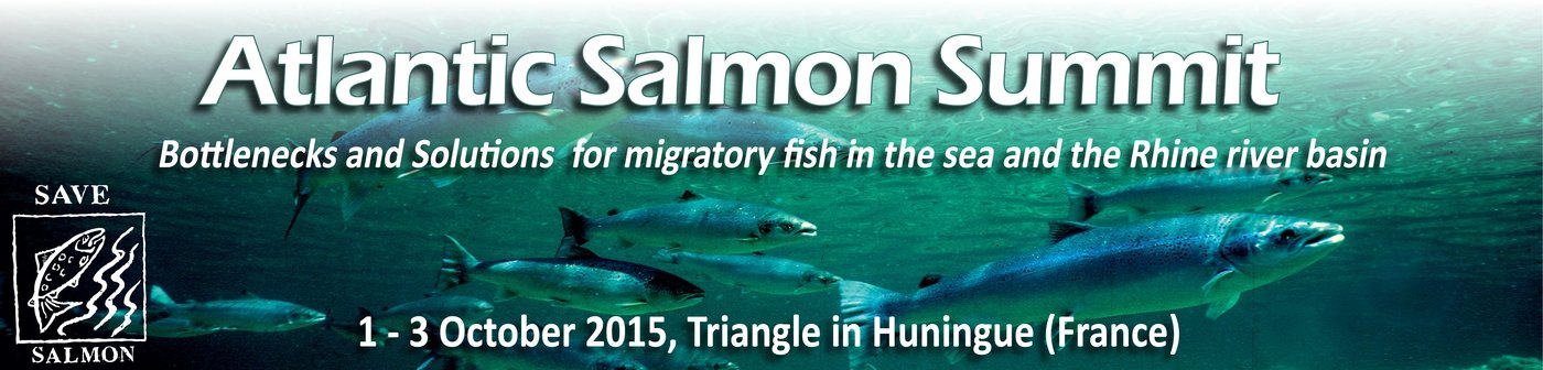 Read more about the article Die Videodokumentation des Salmon Summit ist online