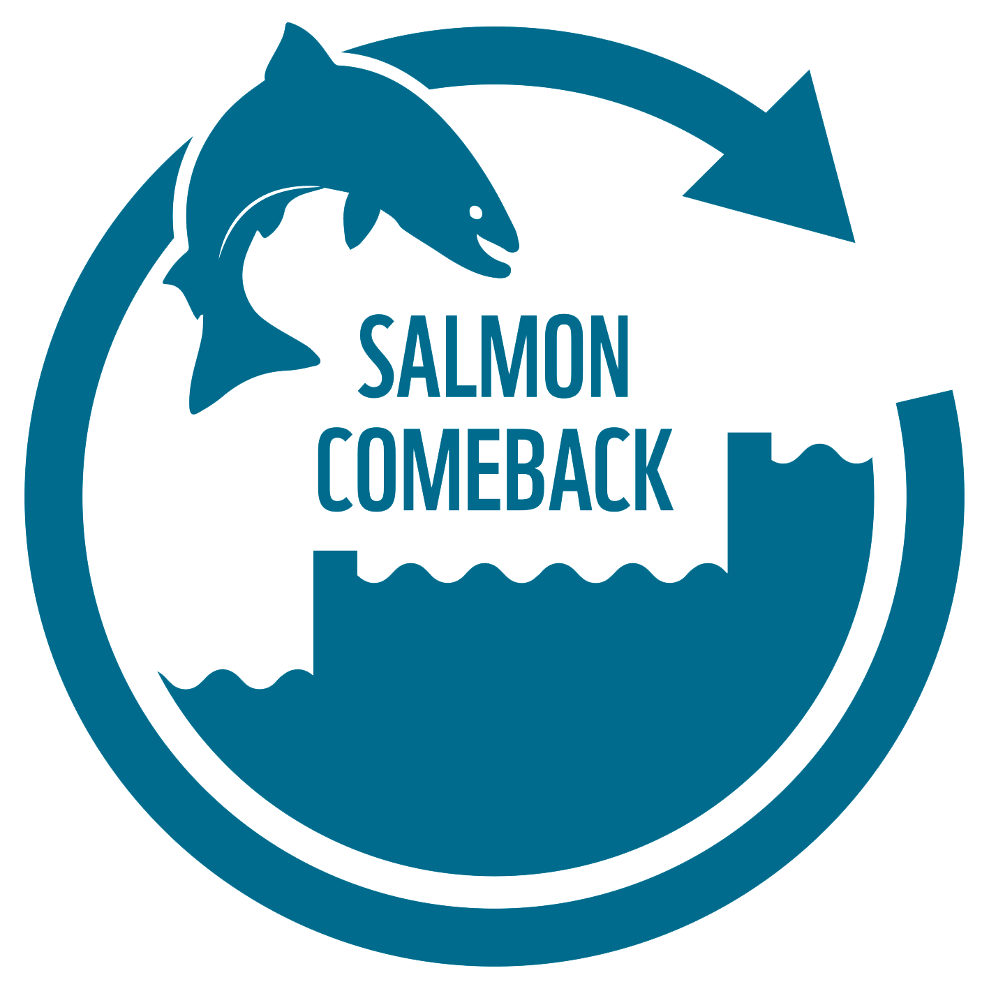 Salmon Come Back