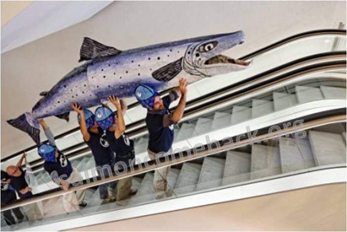 4 meters salmon arrives in the congress centre © WWF Switzerland